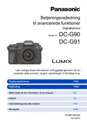 Panasonic