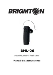Brigmton