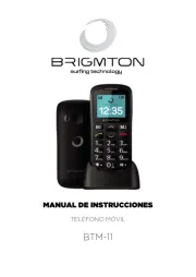 Brigmton