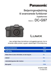 Panasonic