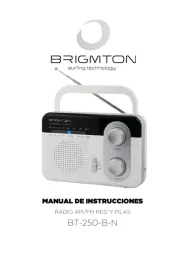 Brigmton