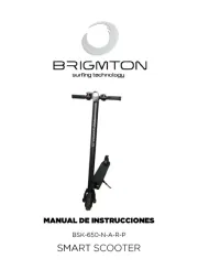 Brigmton