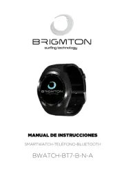 Brigmton