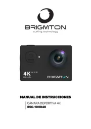 Brigmton