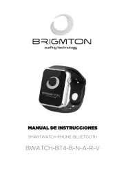 Brigmton