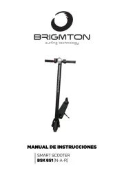Brigmton