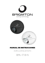 Brigmton