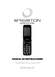 Brigmton