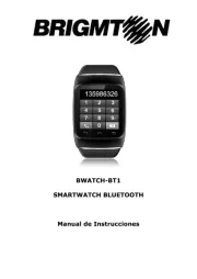 Brigmton
