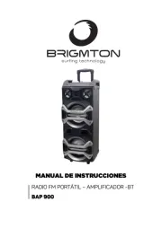 Brigmton