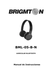 Brigmton