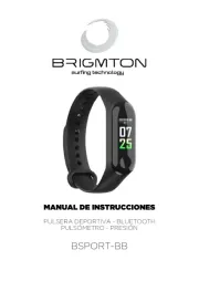 Brigmton
