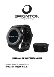 Brigmton
