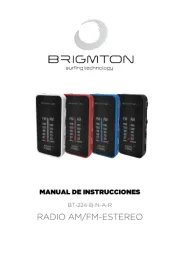 Brigmton