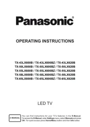 Panasonic