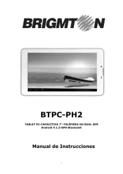 Brigmton