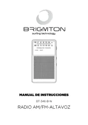 Brigmton