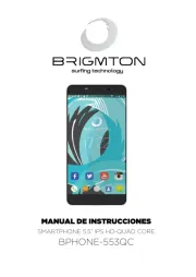 Brigmton