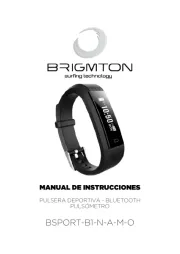 Brigmton