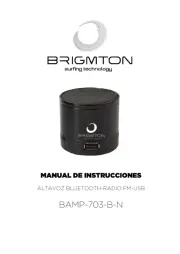 Brigmton