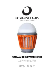 Brigmton