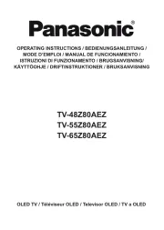 Panasonic