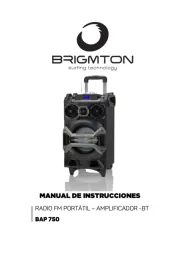 Brigmton
