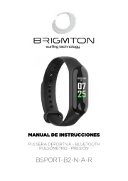 Brigmton