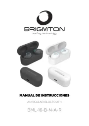 Brigmton