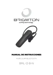 Brigmton