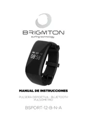 Brigmton