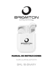 Brigmton