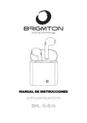 Brigmton