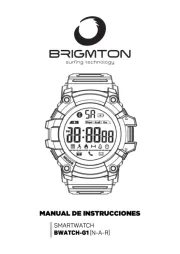 Brigmton