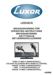 Luxor