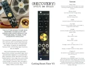 (Recovery)