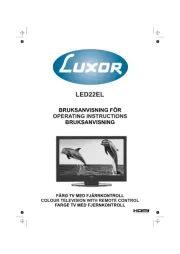 Luxor