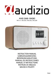 Audizio