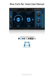 Blue Cat Audio