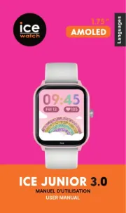 Ice Watch
