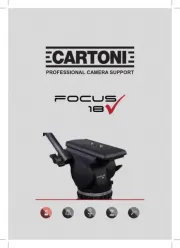 Cartoni