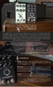 Walrus Audio