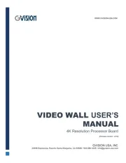 GVision