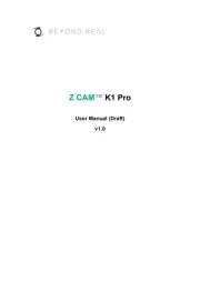 Z CAM