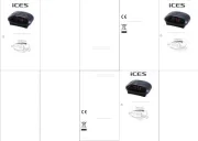 Ices Electronics