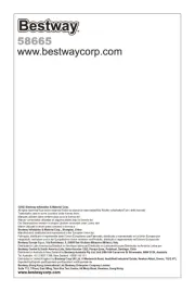 Bestway