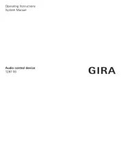 Gira