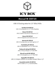 Icy Box