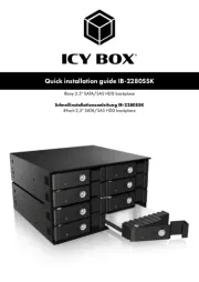 Icy Box