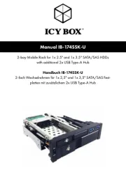 Icy Box